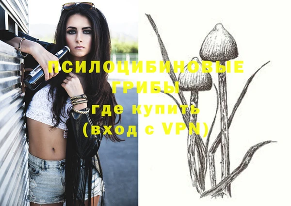 Альфа ПВП Елабуга