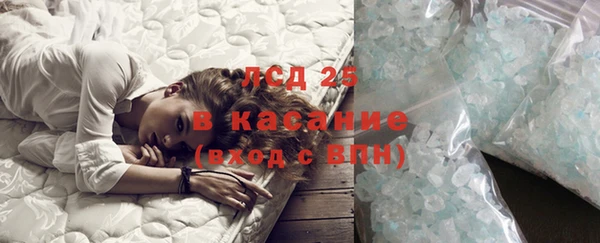 ГАЛЛЮЦИНОГЕННЫЕ ГРИБЫ Заволжск