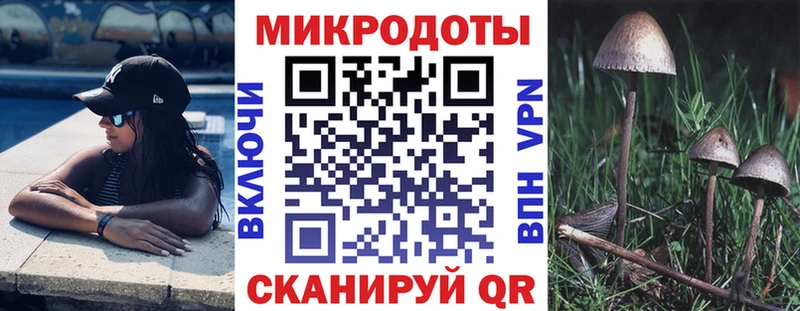 Псилоцибиновые грибы MAGIC MUSHROOMS  Купить где  Тайга 
